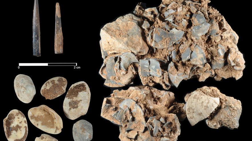 Algunos de los restos hallados en la cueva de la Victoria analizados por los científicos estos últimos meses