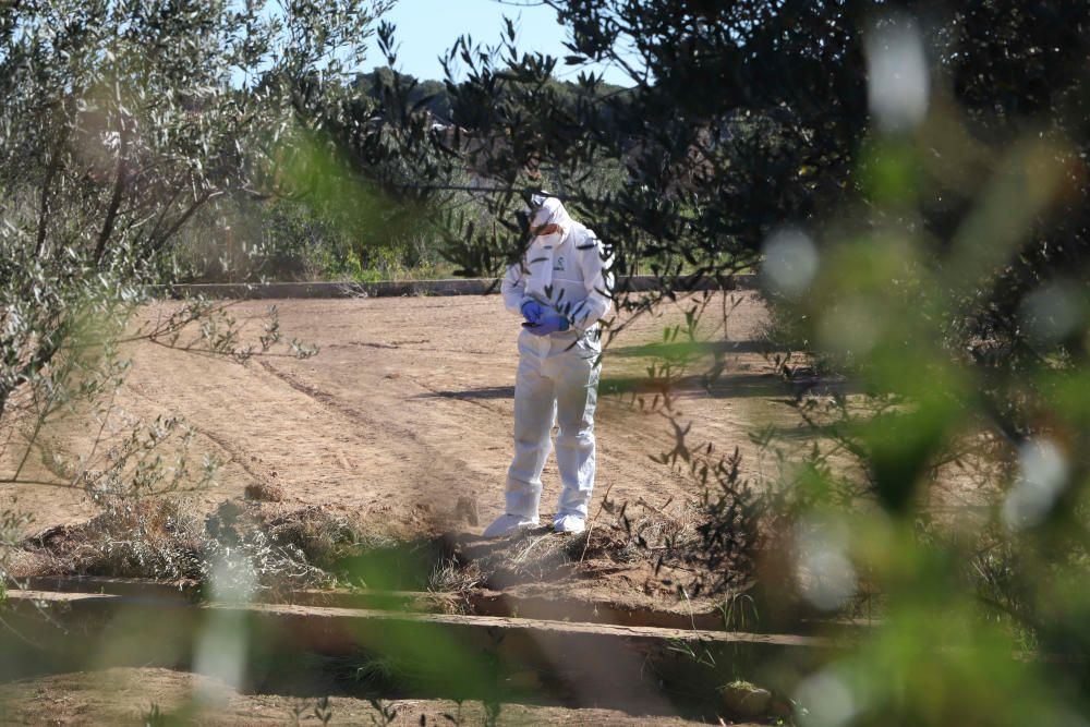 La Policía Científica analiza la caseta donde vivían los niños y el terreno donde estaban enterrados.