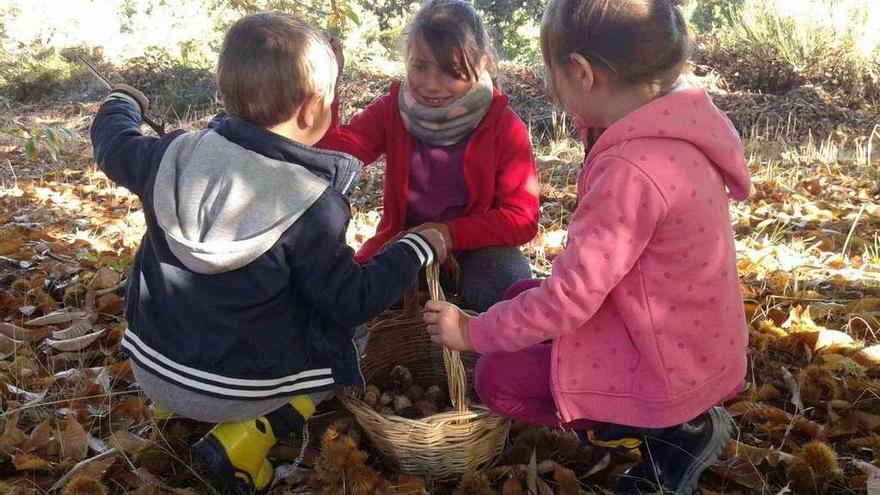 Tres niños alistanos recogen setas.