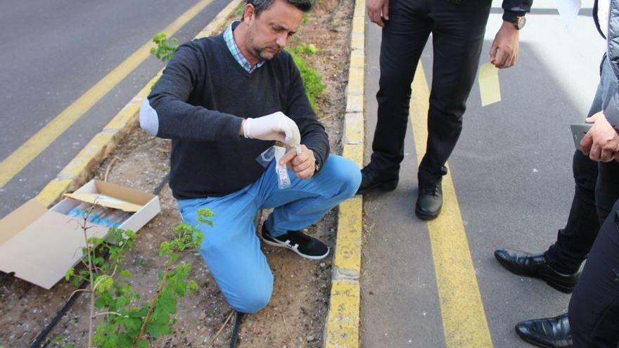 Nules denuncia a dos vecinos con sus controles de ADN a los excrementos de perro