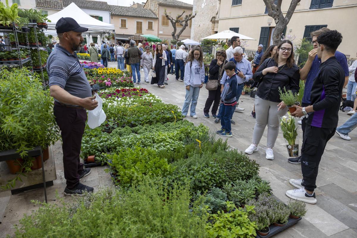 Las mejores imágenes de la Fira de les Flors de Costitx