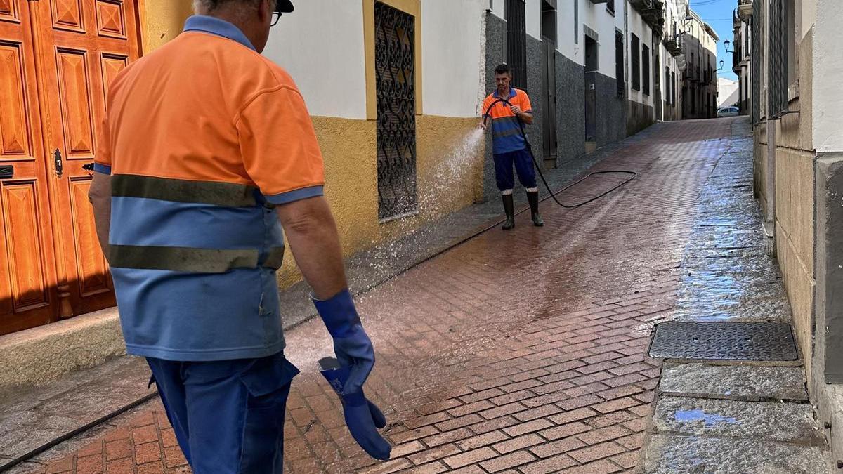 Operarios de Conyser realizan tareas de limpieza en una calle del Casco Histórico de Coria.