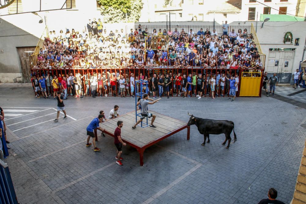 Fiestas de la Vaca de Castalla.