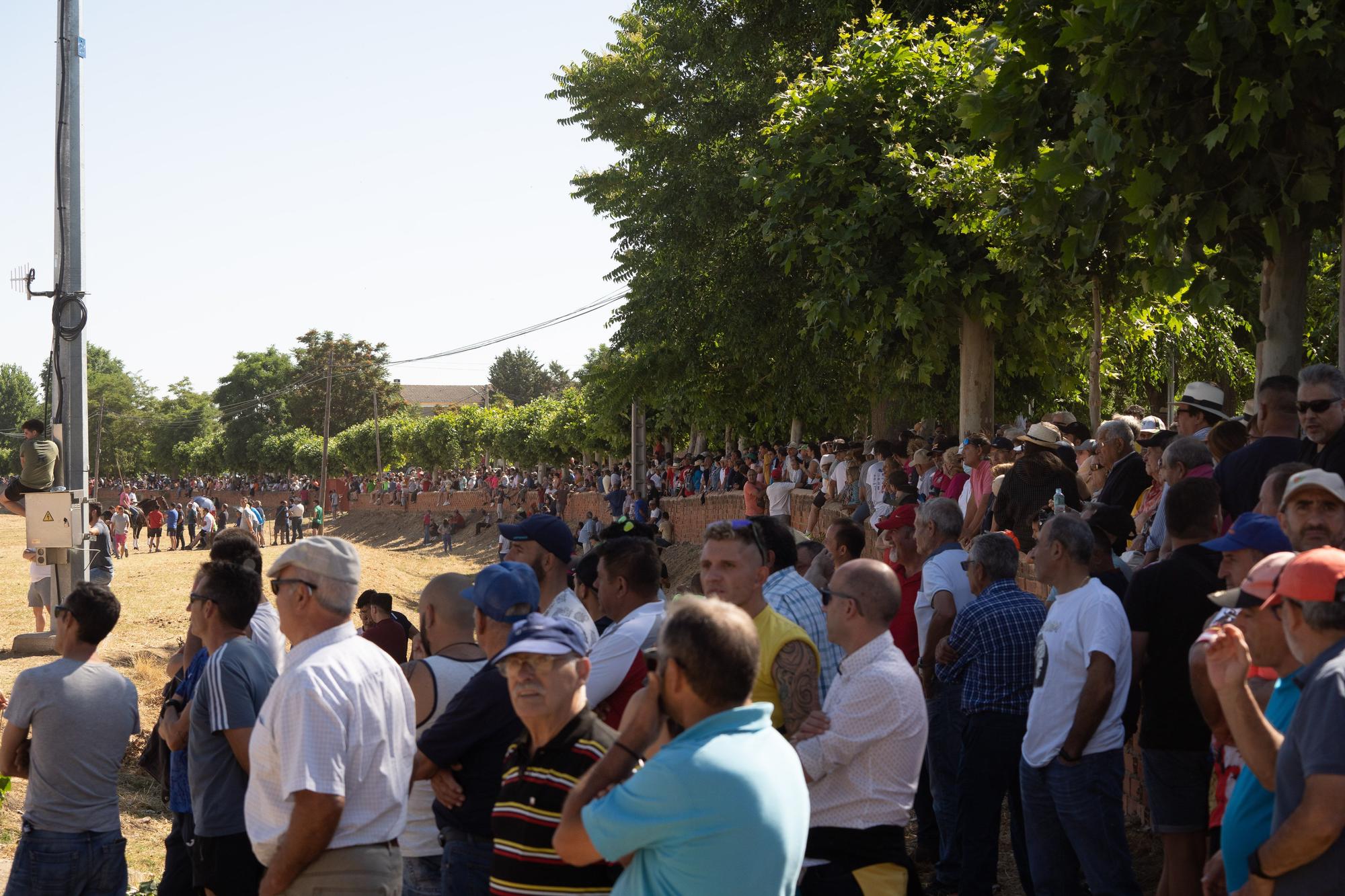 GALERIA | Así han sido los espantes de hoy en Fuentesaúco