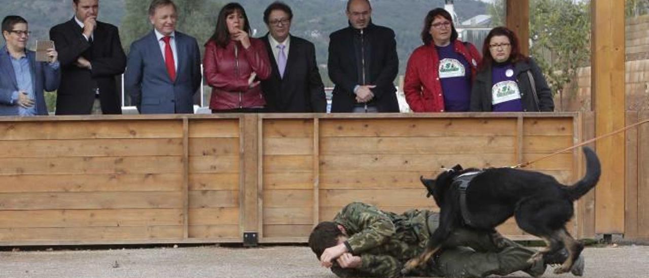 Momentos de la visita de Moragues al centro de adiestramiento de Sagunt.