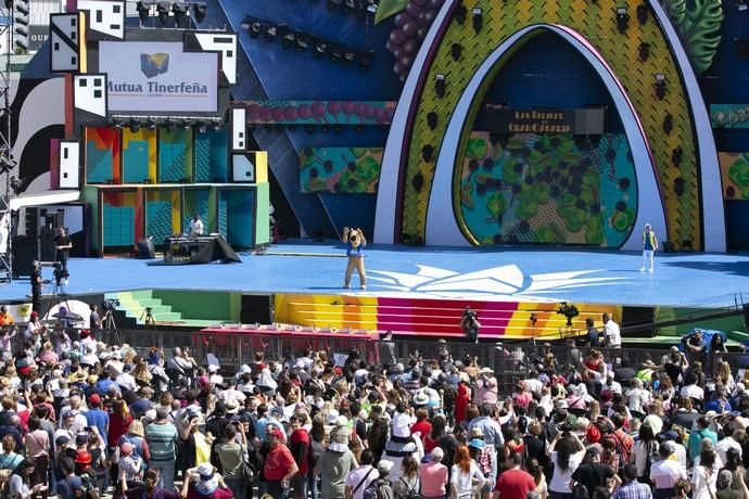 24.02.19. Las Palmas de Gran Canaria. Carnaval 2019. Concurso Carnaval Canino.  Público. Parque de Santa Catalina. Foto Quique Curbelo