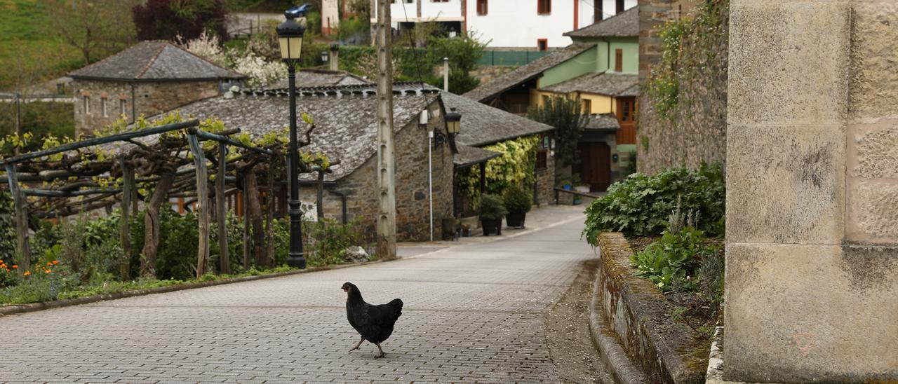 Así es la vida en Pesoz, el concejo que más habitantes perdió en los últimos 70 años