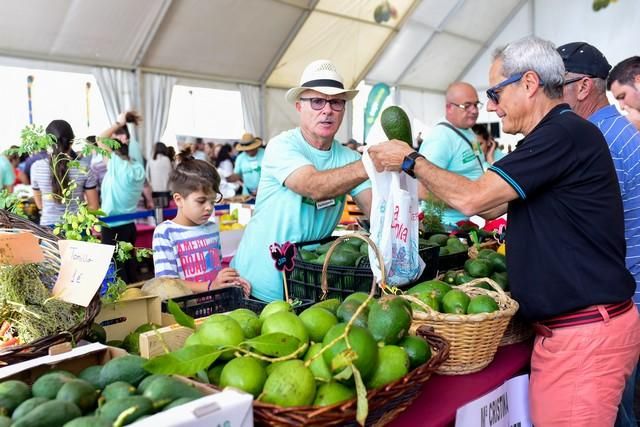 II Feria del Aguacate en Arguineguín