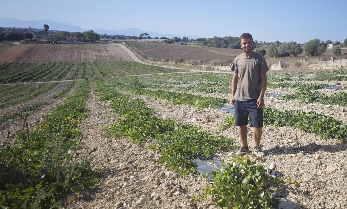 El joven agricultor Francesc Munar.