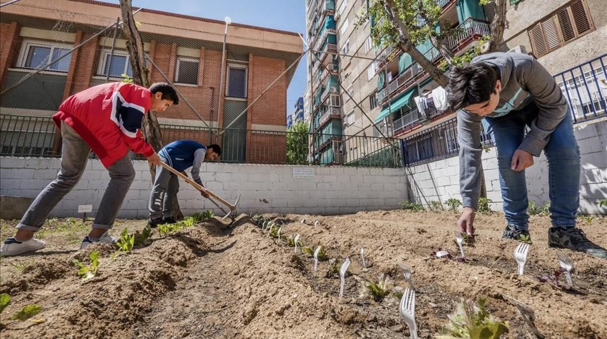 Tres estudiants de l’institut Europa de l’Hospitalet, a l’hort escolar.