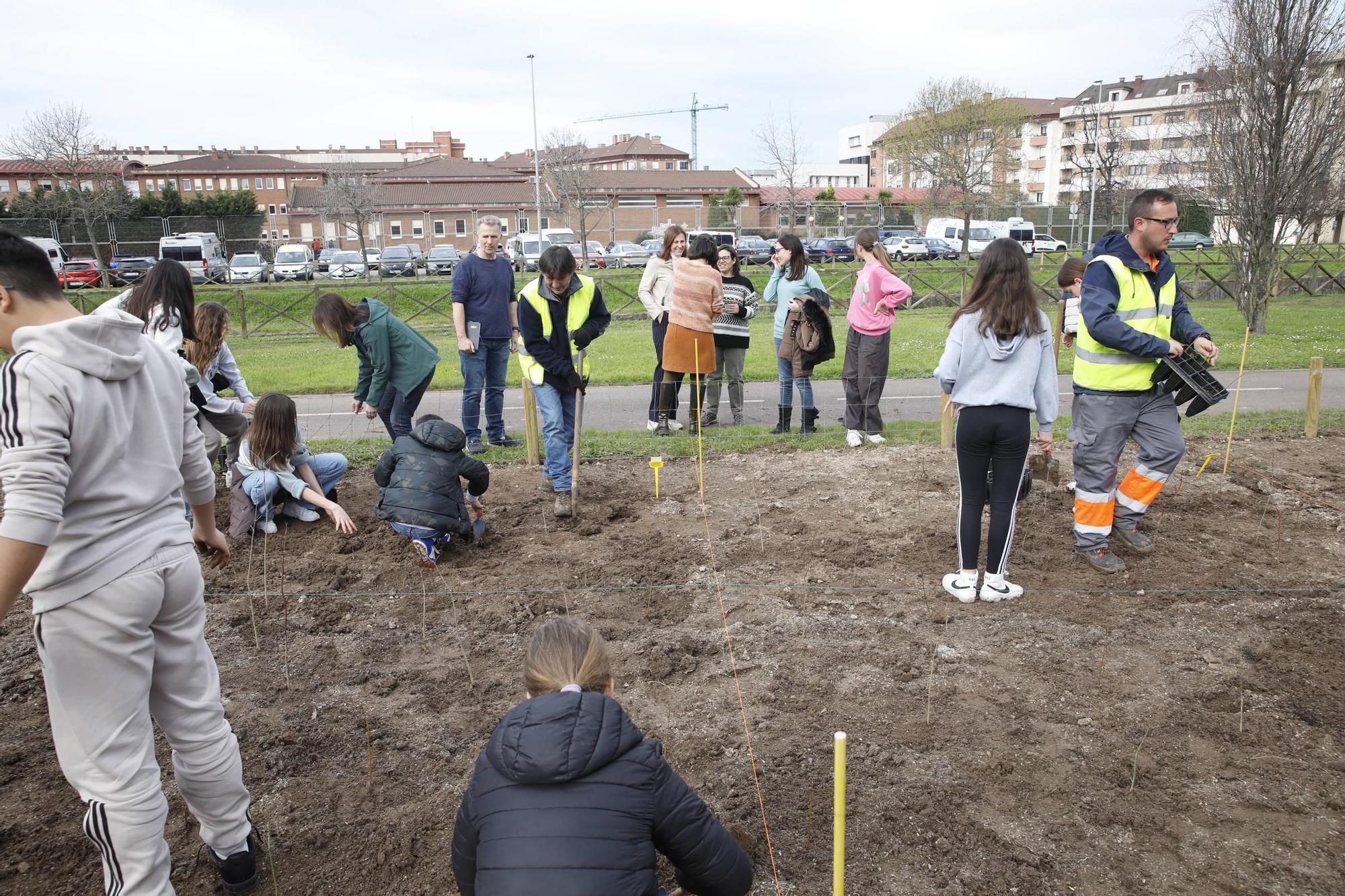 El secretario de Estado Hugo Morán participa en la plantación de minibosques en Gijón (en imágenes)