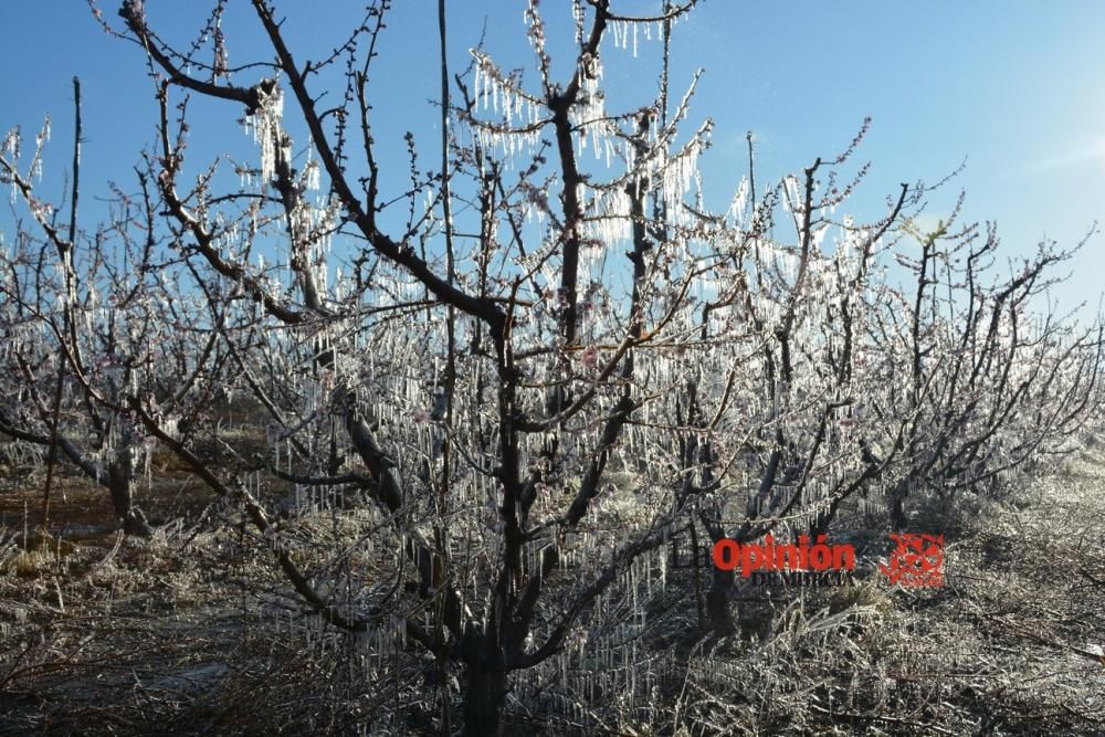 Helada en Cieza 9 de febrero de 2018