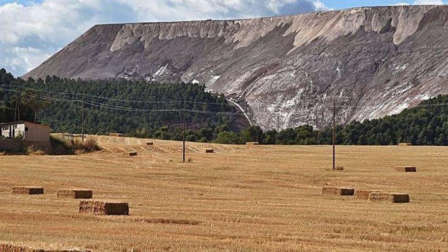 Vessant del runam del Cogulló on es proposa fer el camp solar