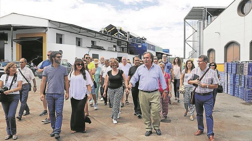 La recolección de la uva aumenta el interés de los turistas un 30%