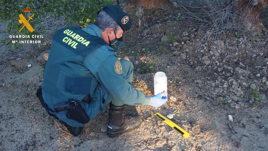 El Seprona investiga a una persona en Baena por colocar cebos envenenados