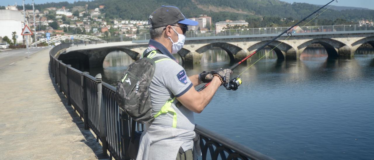 Un pescador en el río Lérez practicando pesca deportiva.