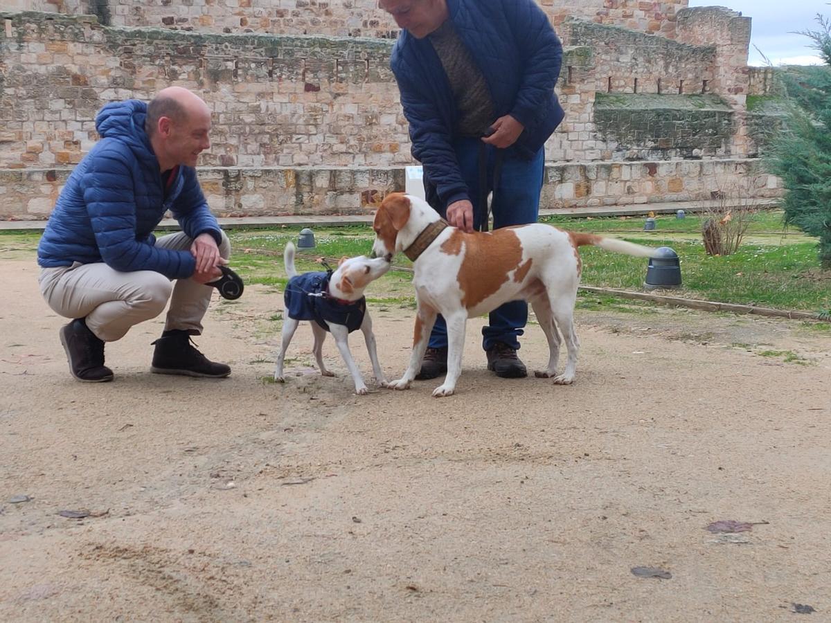 Pipper y Tomate, en su primer encuentro en los jardines del Castillo en Zamora.