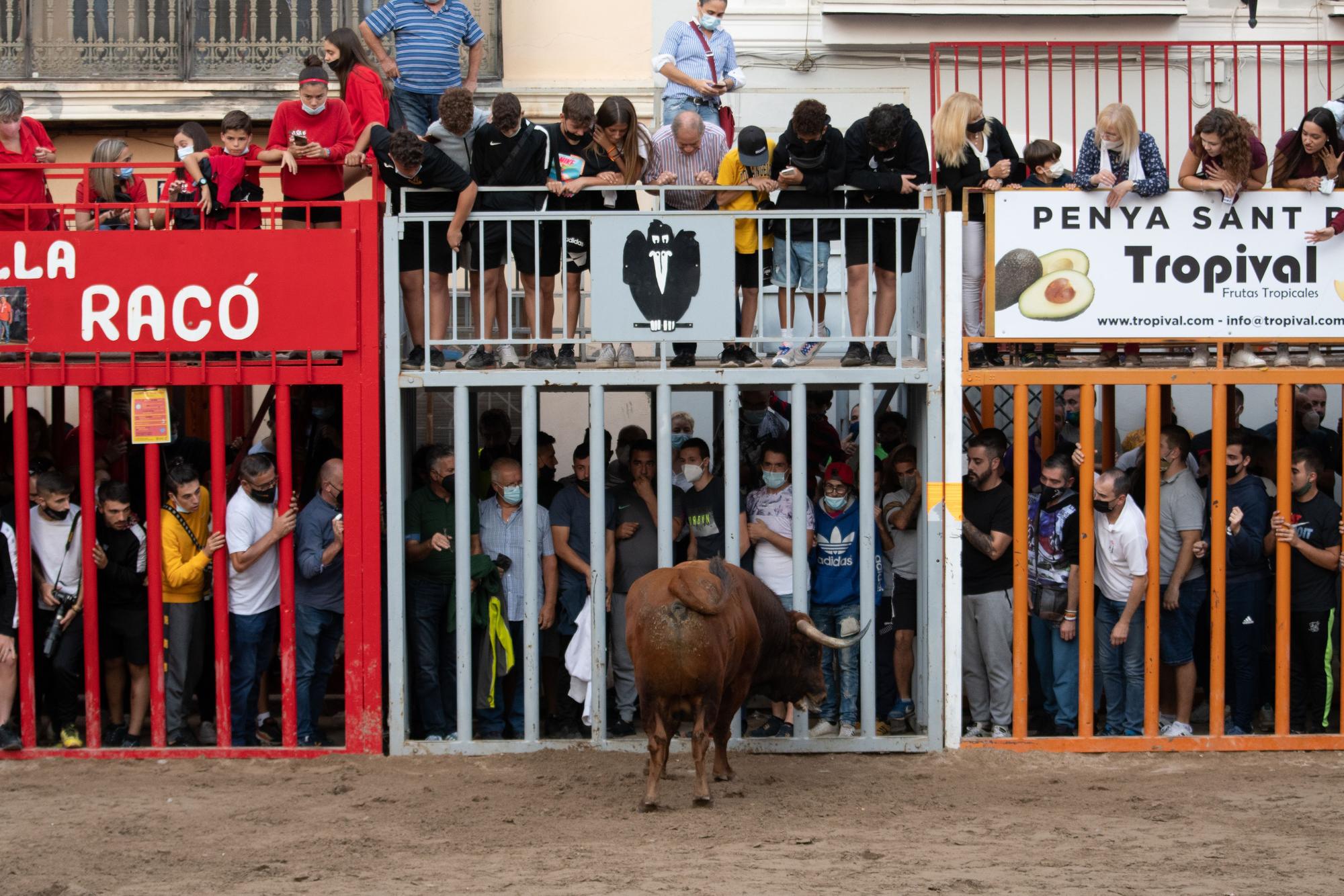 El tercer día de toros en Almassora, en imágenes