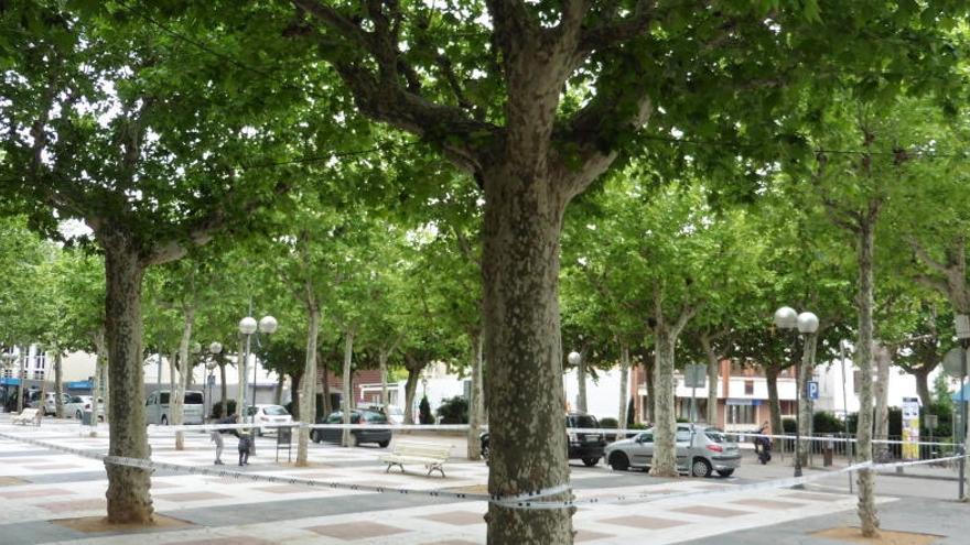 El recinte d&#039;arbres del Firal d&#039;Olot marcat per una cinta.