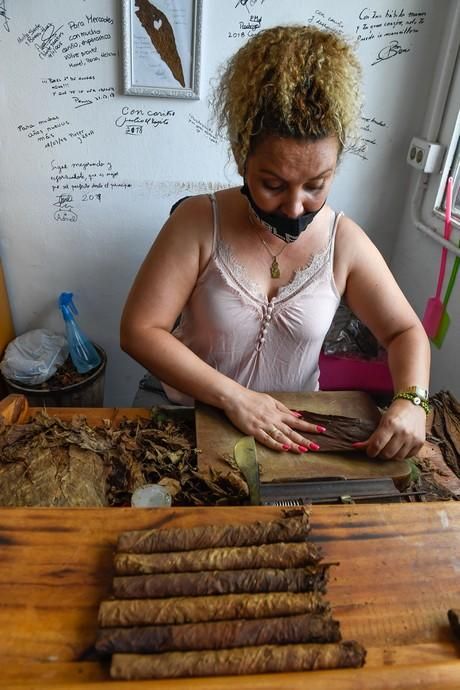 27-08-20  LAS PALMAS DE GRAN CANARIA. SCHAMANN. LAS PALMAS DE GRAN CANARIA.  Reportaje al único taller de puros artesanos que hay en la capital. El taller se llama Doble M y lo lleva Mercedes Martínez, ella es cubana y trae las hojas de tabaco desde la isla caribeña, todo lo hace a mano.  Fotos: Juan Castro.  | 27/08/2020 | Fotógrafo: Juan Carlos Castro