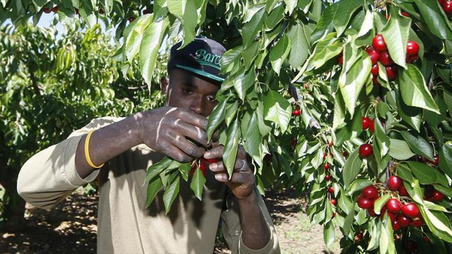 El sector agrícola teme no cubrir toda la demanda de mano de obra