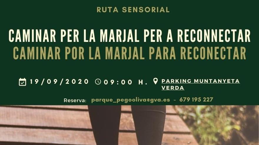 Caminar por el Marjal