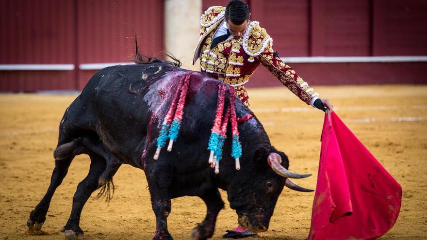 Manzanares, en su faena a «Gineto».