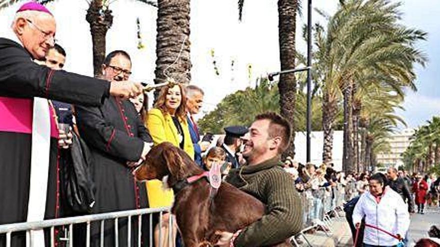 La bendición de animales del año pasado en Sant Antoni.