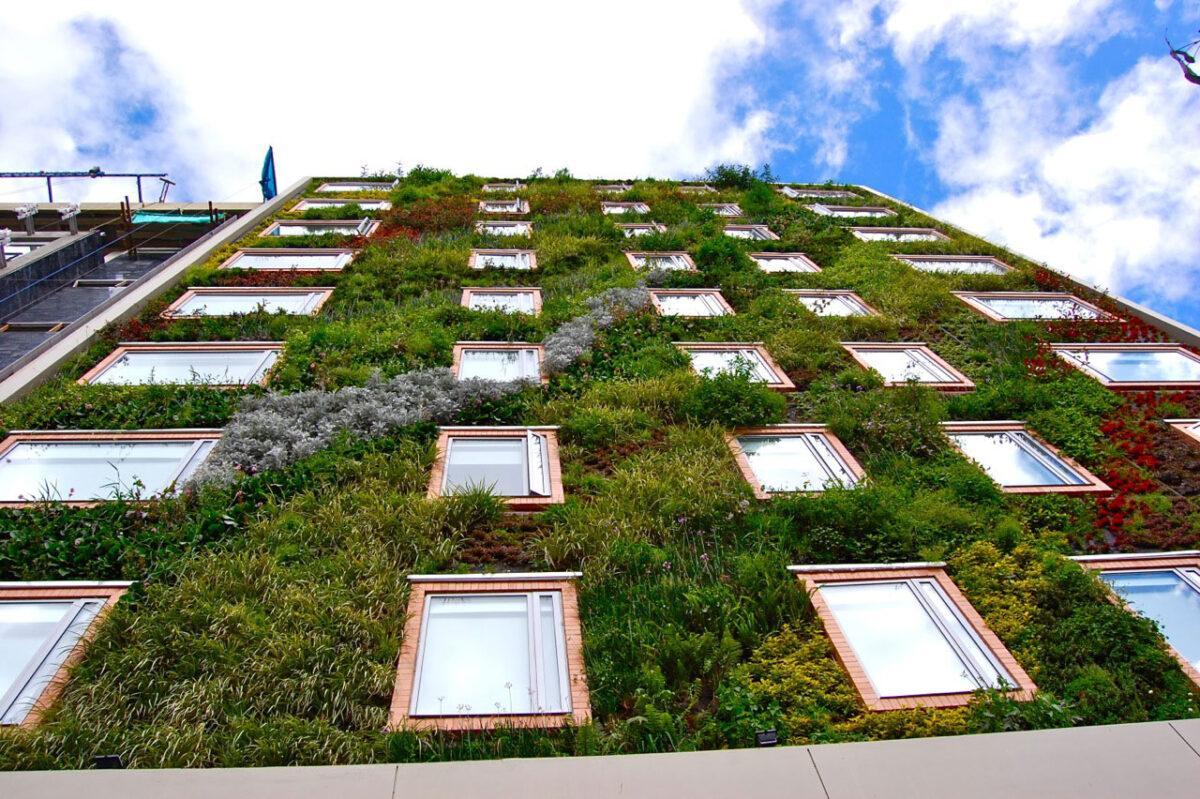 Las fachadas vegetales reducen hasta un 31% la necesidad de calefacción