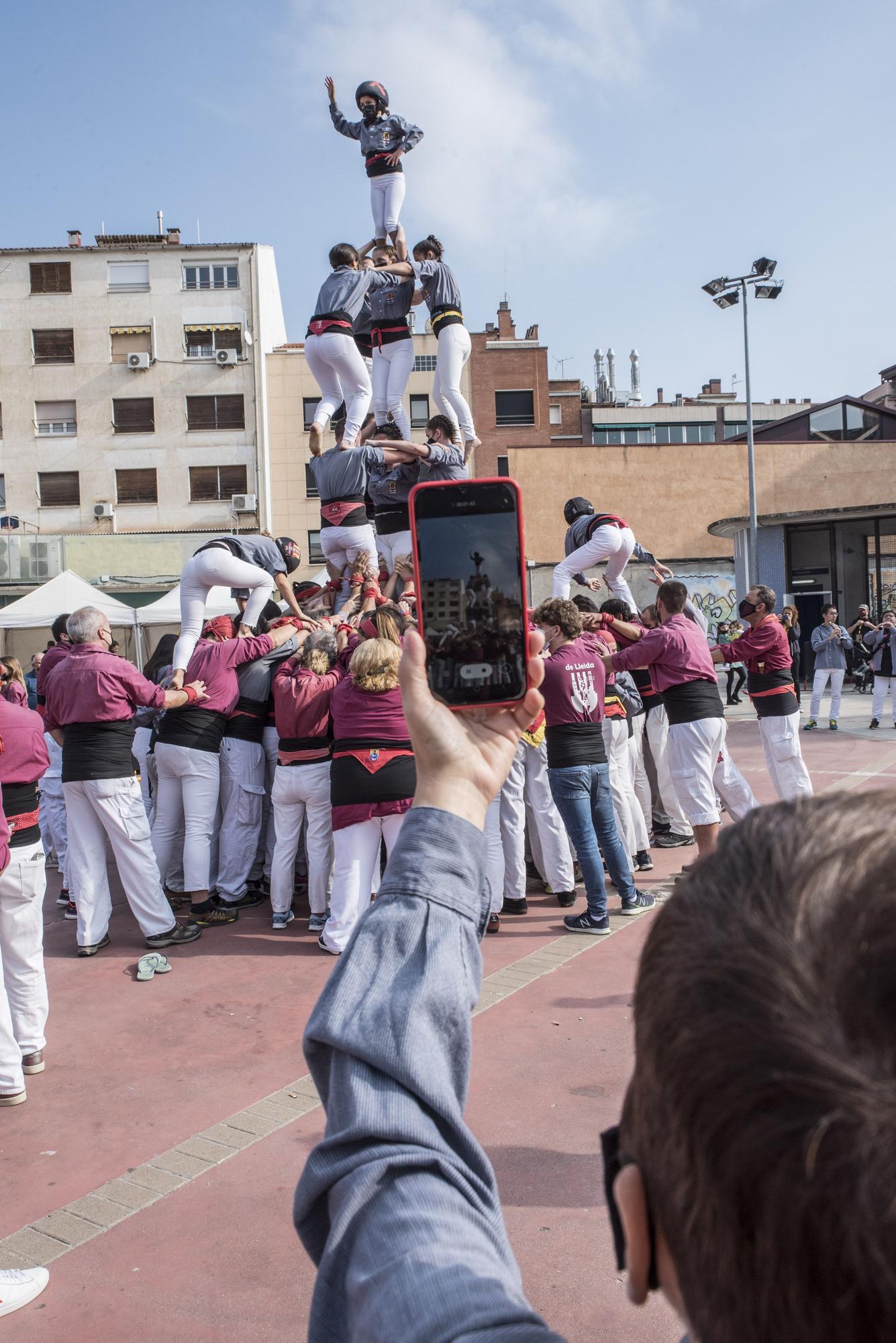 Pinyes compartides a la Porxada de Manresa