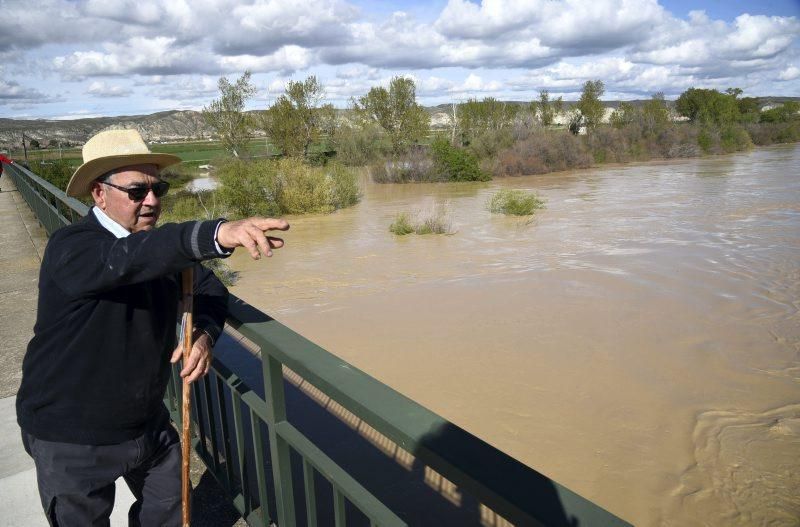 La crecida del Ebro se acerca a Zaragoza