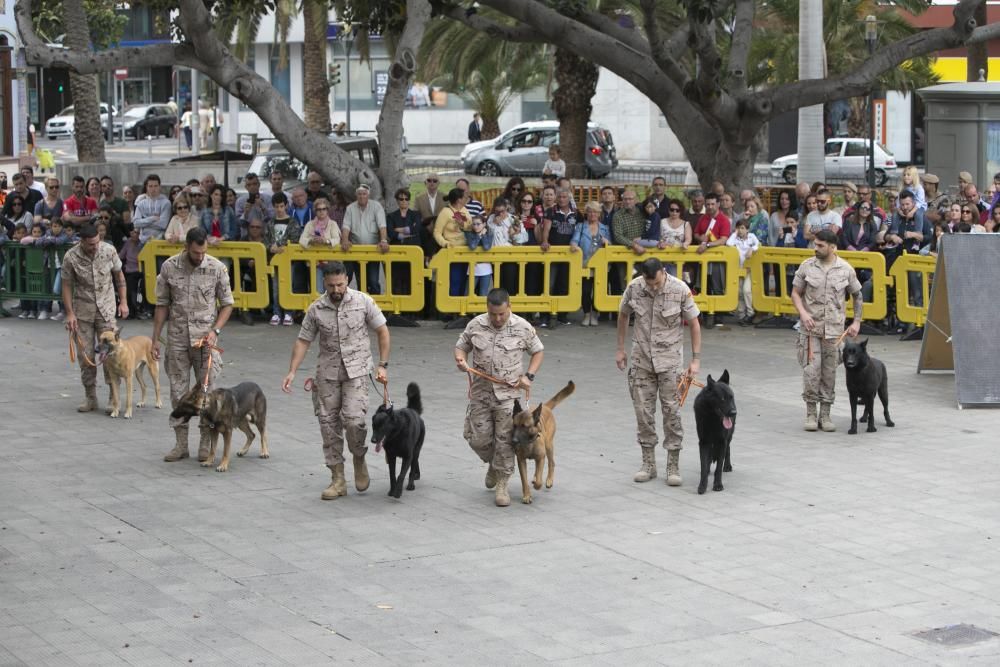 DÍA DE LAS FUERZAS ARMADAS