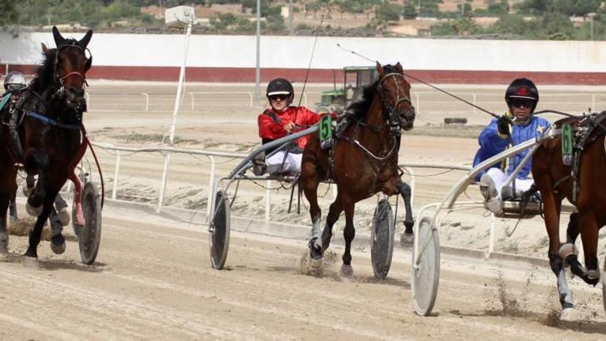 Espiga des Llorer domina a los potros de dos años