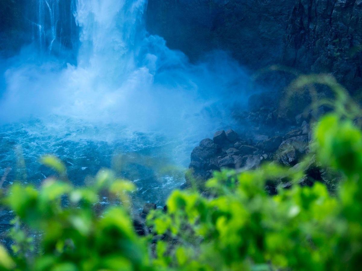 Agua y vegetación en las Cataratas Victria