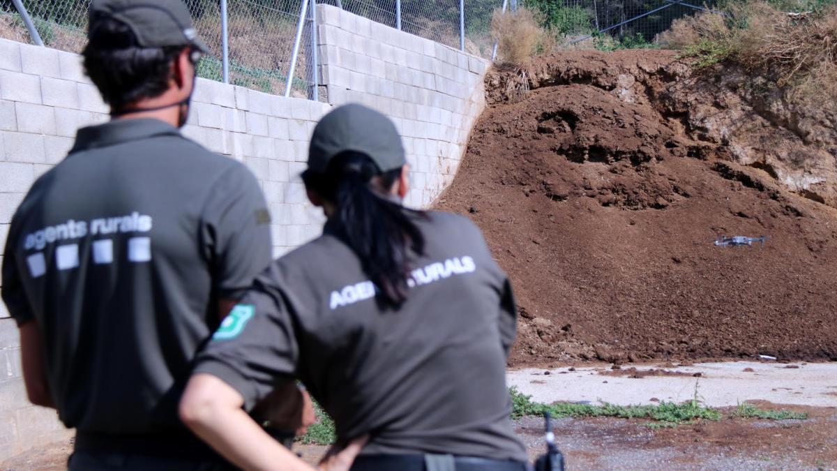 dos agents rurals operant un drone sobre un femer d&#039;una granja de Ginestar, foto d&#039;arxiu