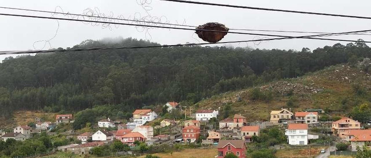 Un delicado equilibrio. No sabemos qué es más difícil: que el cable no ceda ante el peso de ese tocón de madera o la maniobra para talar en su día el árbol sin romper este &quot;abrazo&quot; entre madera y cable. Pero la imagen, al lado de la PO-315 a su paso por As Barreiras, sigue sorprendiendo. Gonzalo Núñez