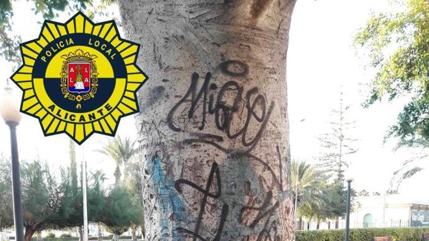 La Policía localiza a un grafitero que pintó en un ficus centenario de Alicante