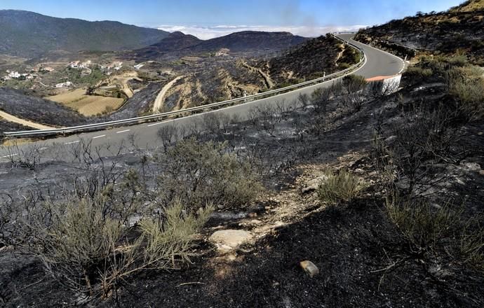 ARTENARA. Incendio en la Cumbre. Vistas de Artenara tras el incendio. El Fuego llegó hasta las casas del Pueblo.  | 11/08/2019 | Fotógrafo: José Pérez Curbelo