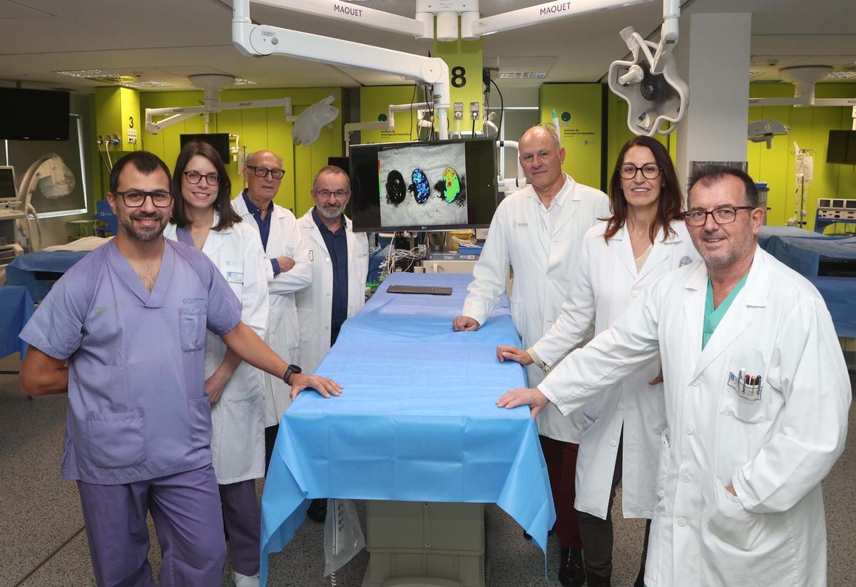 Los autores del estudio del Inibic-Chuac, junto con la directora científica del Instituto de Investigación Biomédica coruñés, este viernes, en el Centro Tecnolóxico de Formación.