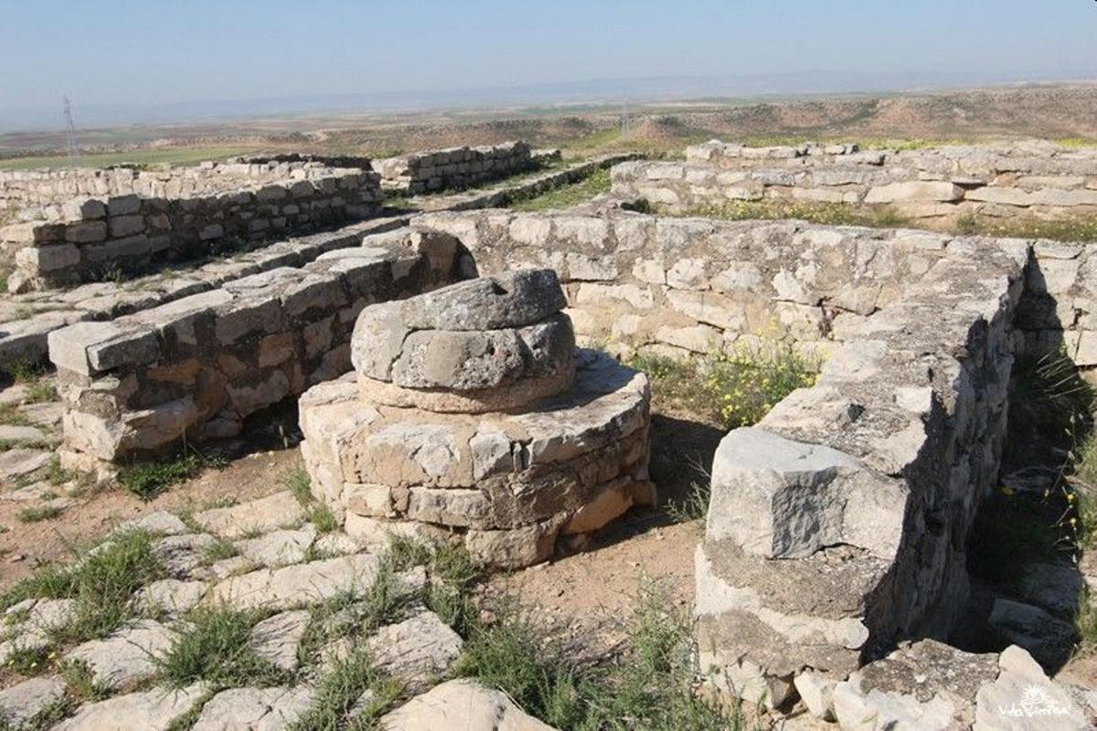 La visita al yacimiento de Azaila te permitirá conocer el modo de vida de una ciudad ibérica del valle medio del Ebro.