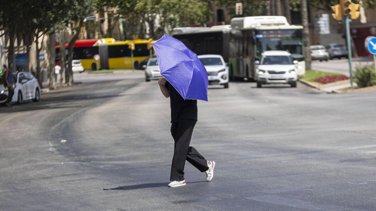 Así vive Mallorca la primera ola de calor del verano