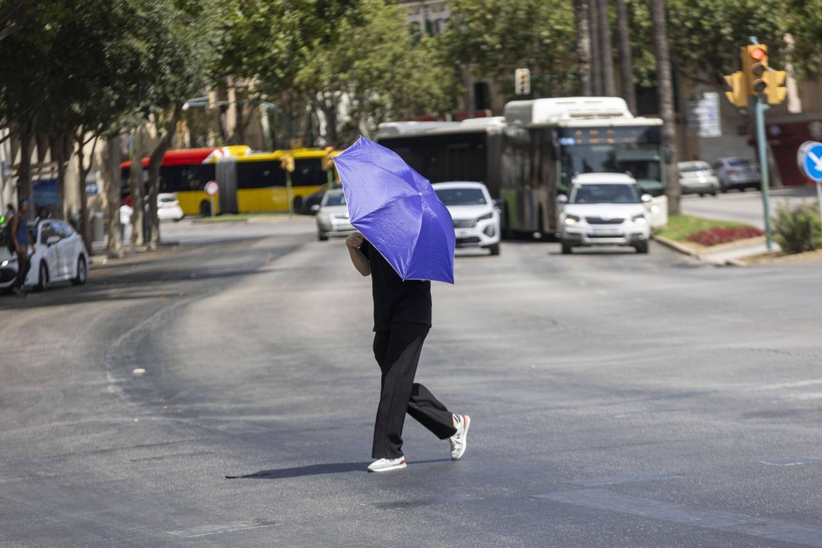 Así vive Mallorca la primera ola de calor del verano