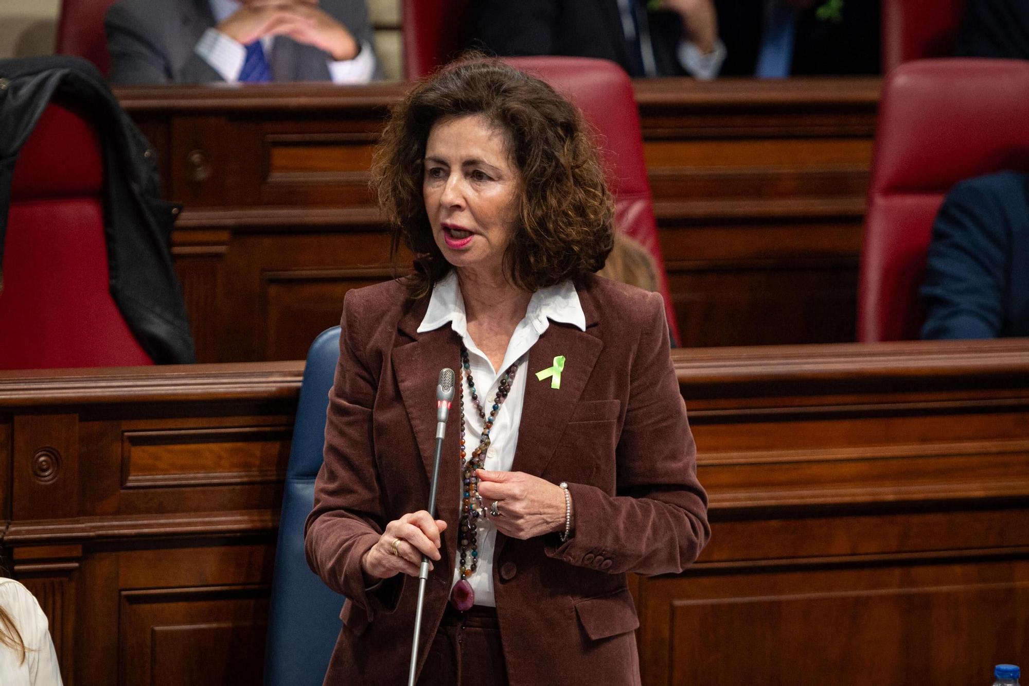 Pleno del Parlamento