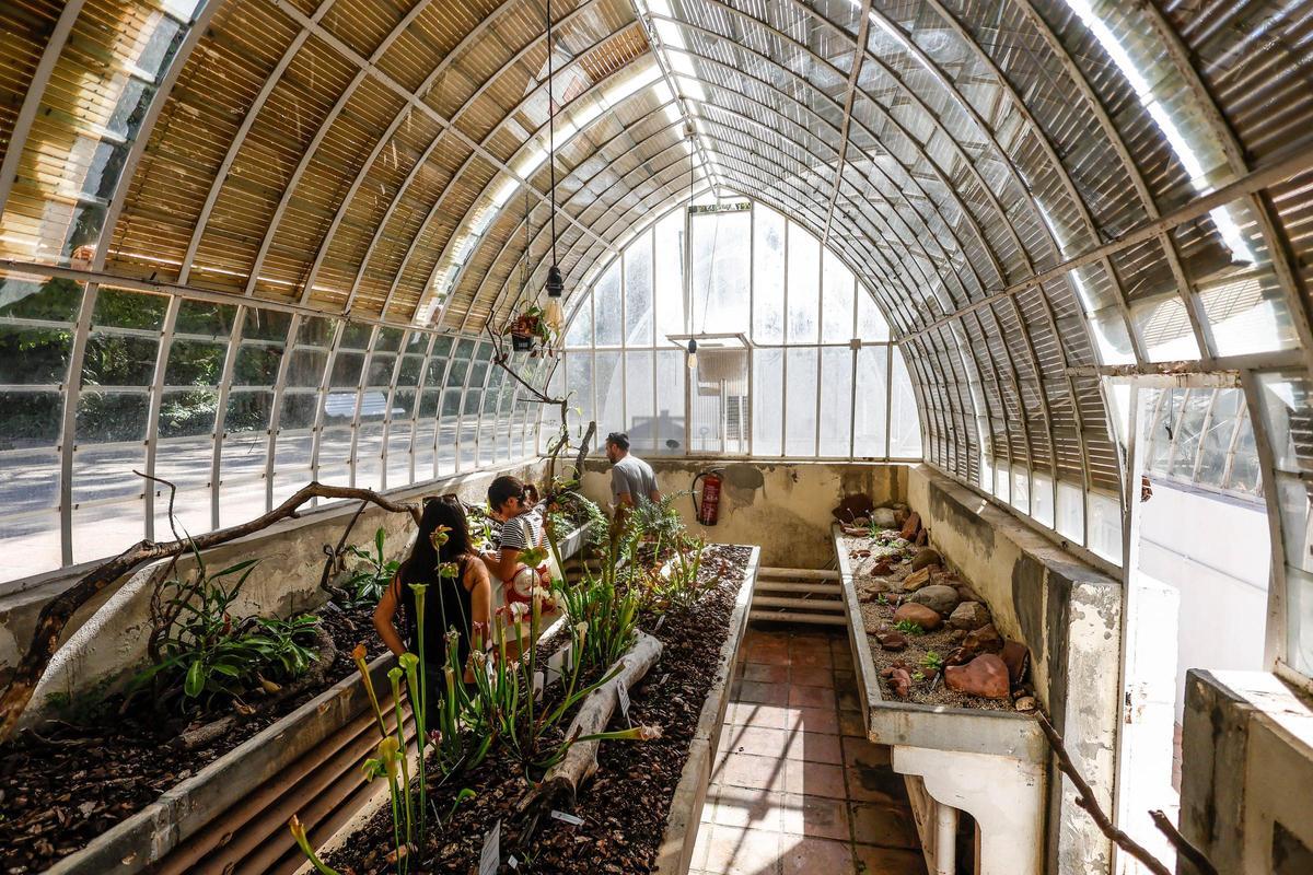 El Jardín Botánico de València está de moda