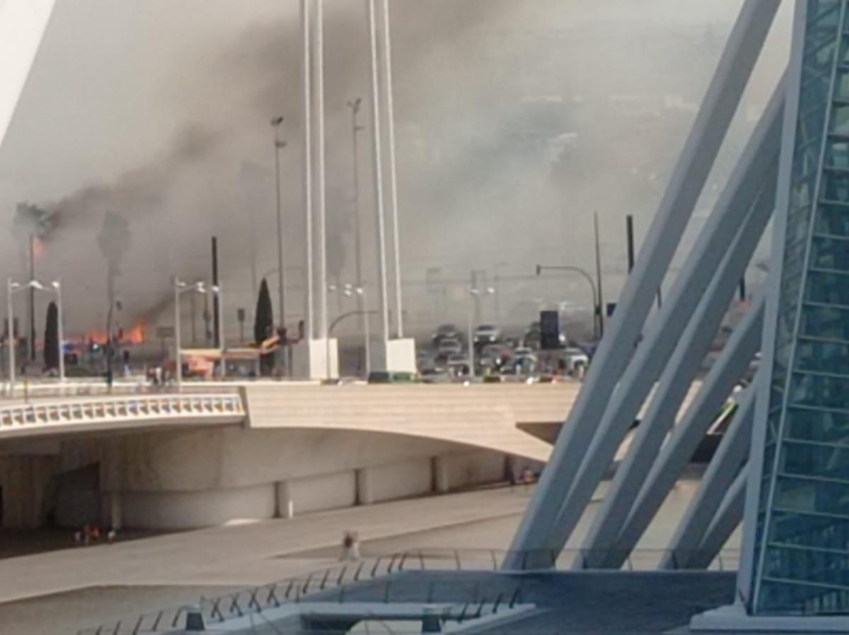 Un aparatoso incendio junto al Oceanogràfic y la autovía del Saler obliga a cortar el tráfico de entrada y salida a la ciudad