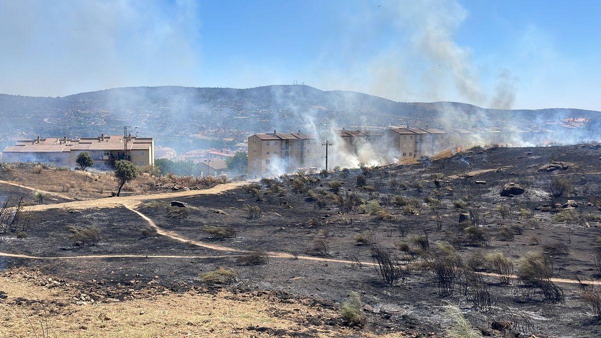 Área quemada en la zona norte de Plasencia.