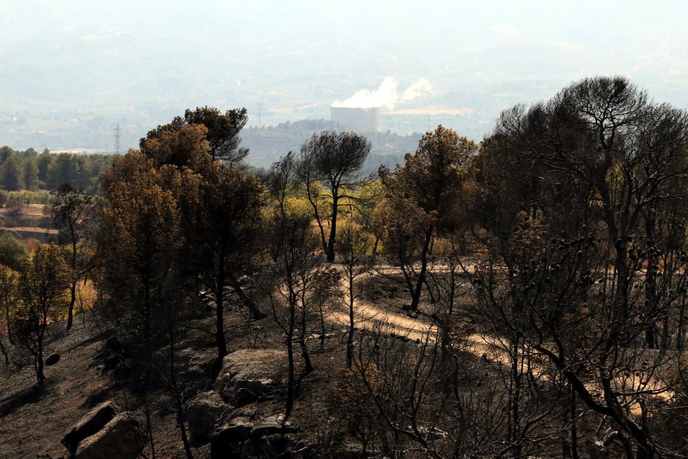 Incendi de Ribera d'Ebre