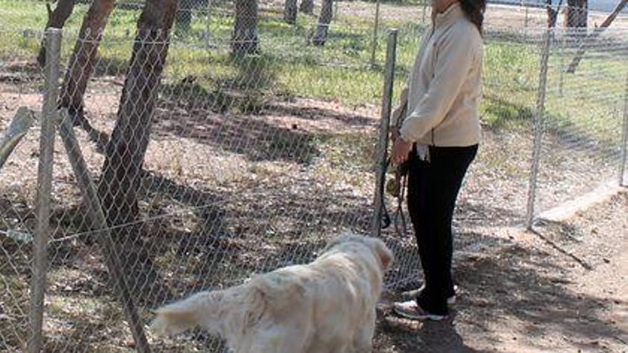 Los parques caninos tendrán normativa para mejorar su uso