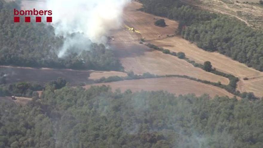Estabilitzat l'incendi forestal de Saus i Vilopriu, que ha cremat 76 hectàrees de conreu i arbrat