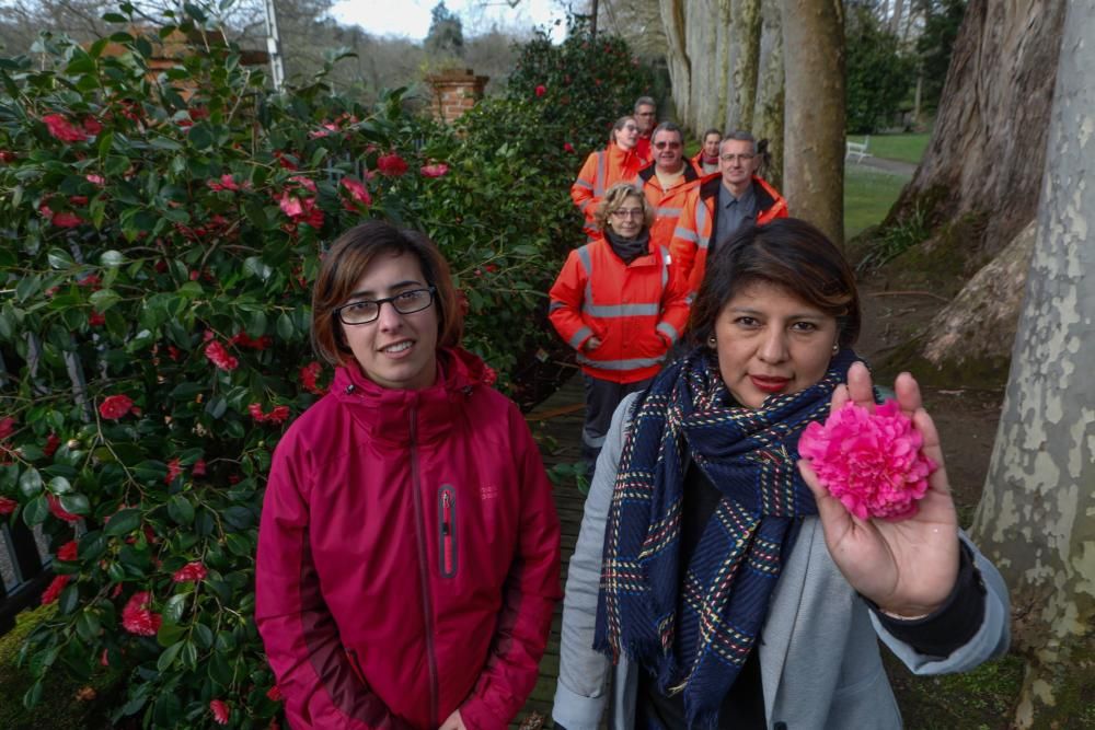 Camelias en el Botánico